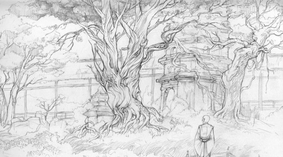 1636600397617712.jpg 17.jpg